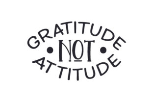 Gratitude Not Attitude: A Designer’s Embroidery Review